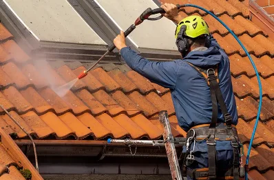 Démoussage et hydrofuge de toiture à Cussy